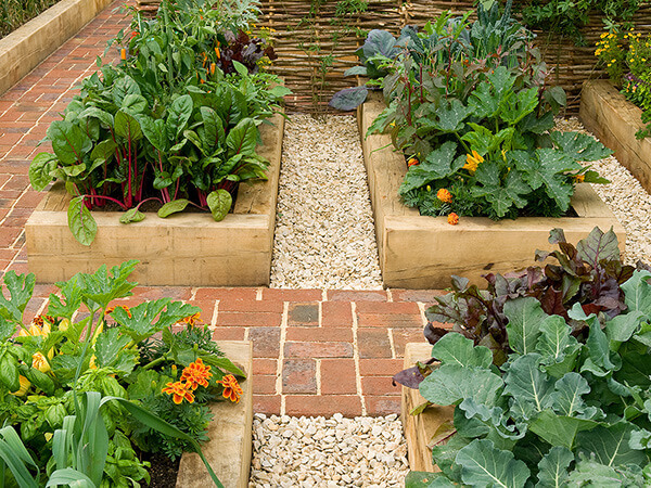Caldera Backyard Design Ideas That Make A Big Impact 4